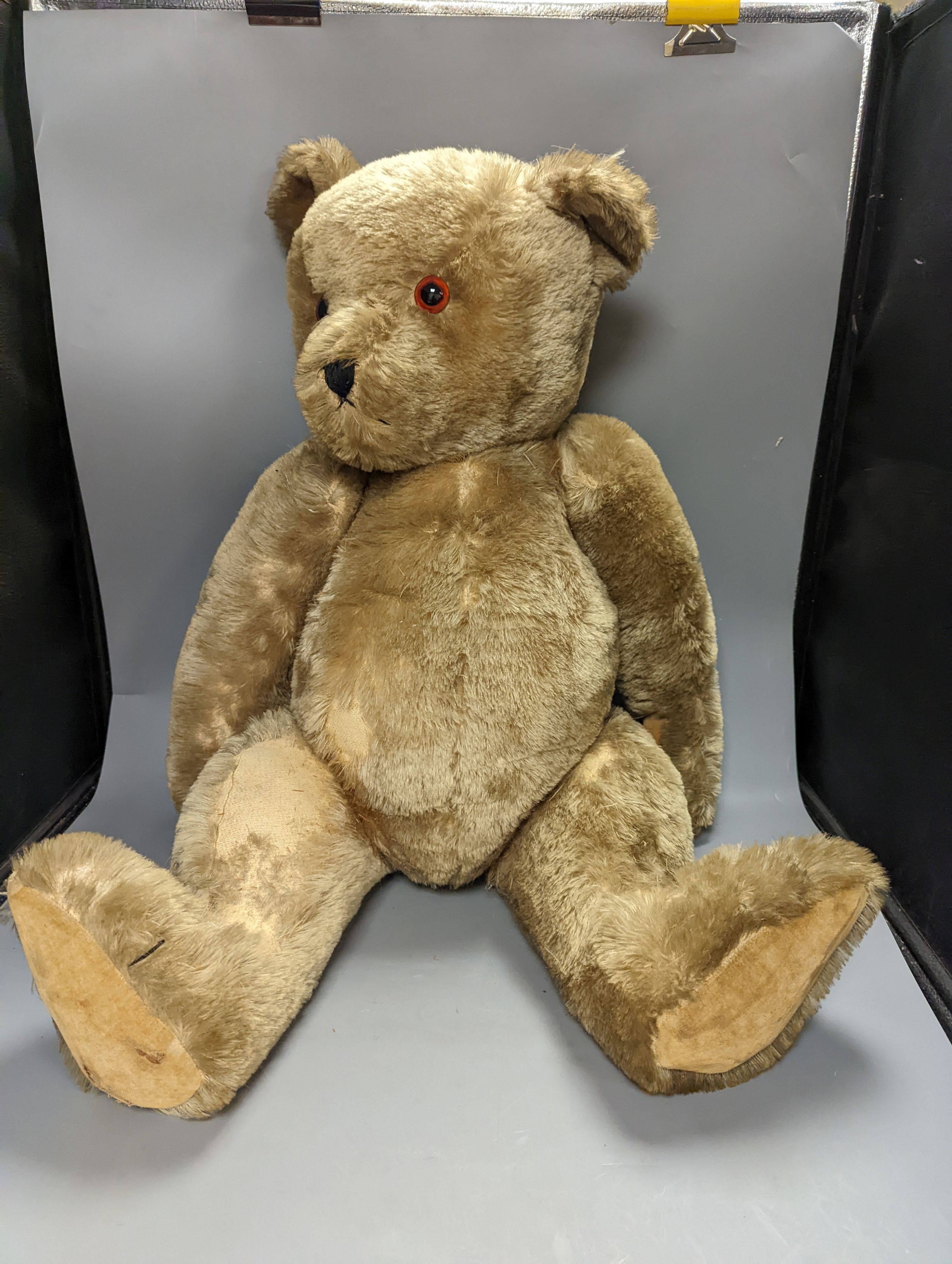 A large English teddy bear and two other teddy bears